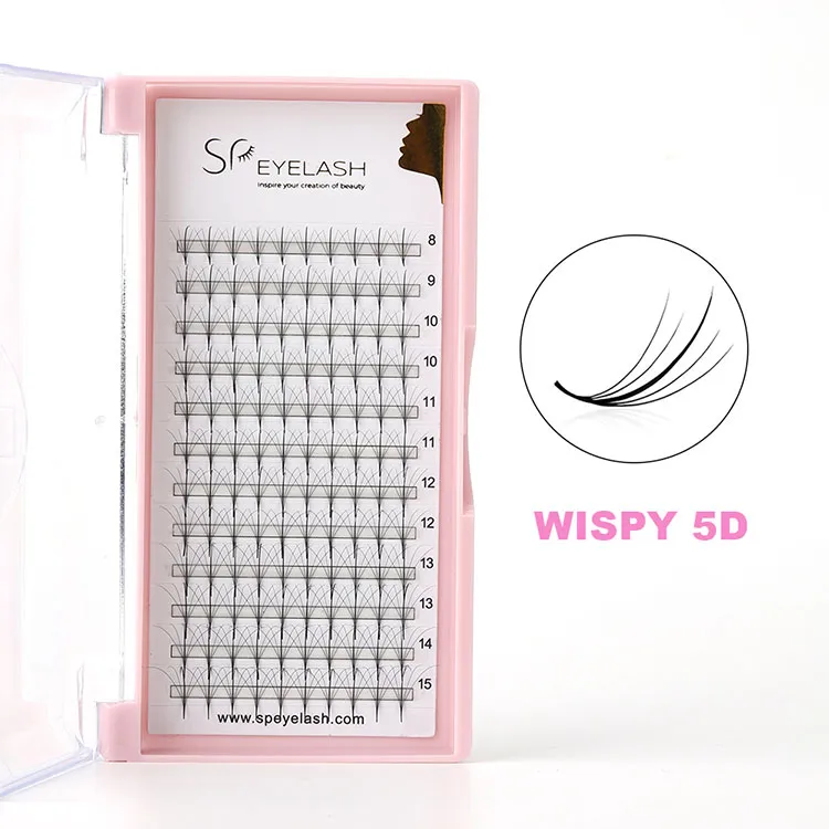 Quam eligere et curare Wispy Lashes