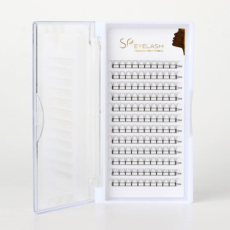 In ultima Rector ut premade Fan Lashes: Quid vos postulo scio