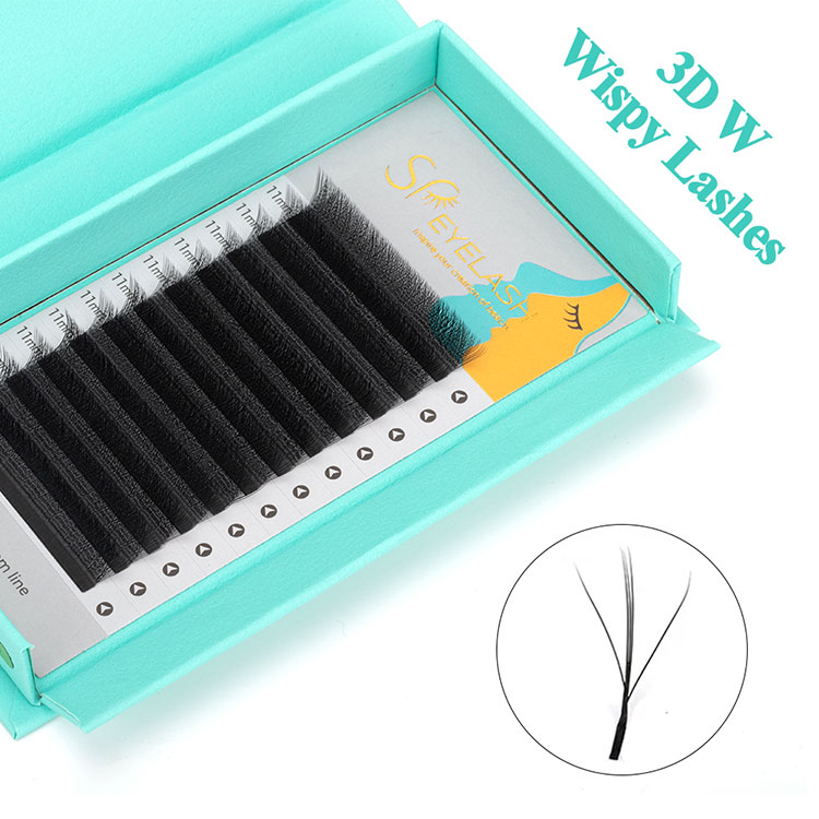 3D W Wispy Lash Tractus