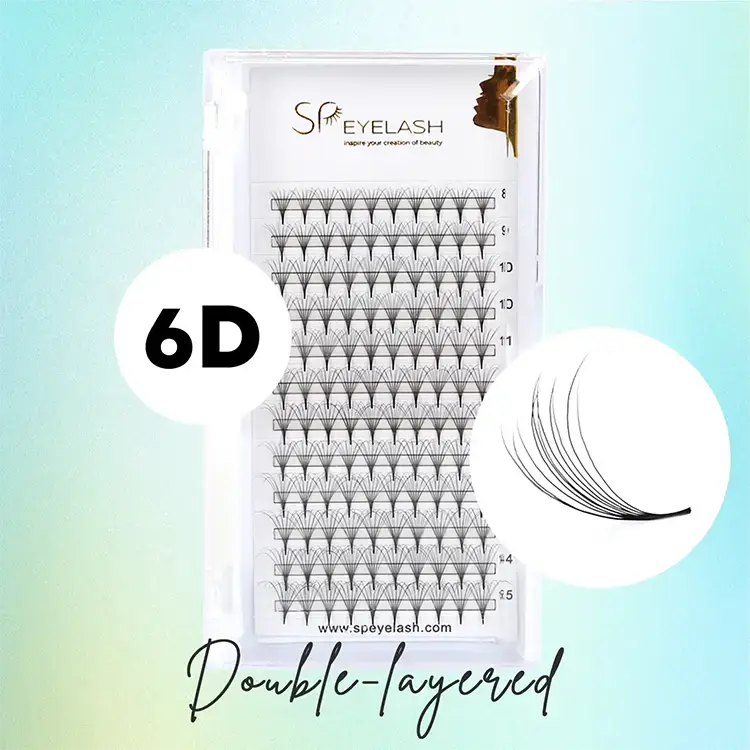 6d duplici iacuit Camellia fans