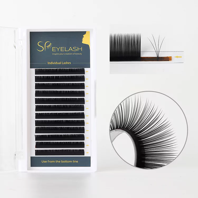 Camellia Lash extensiones