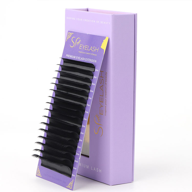 Singula creditis Lashes