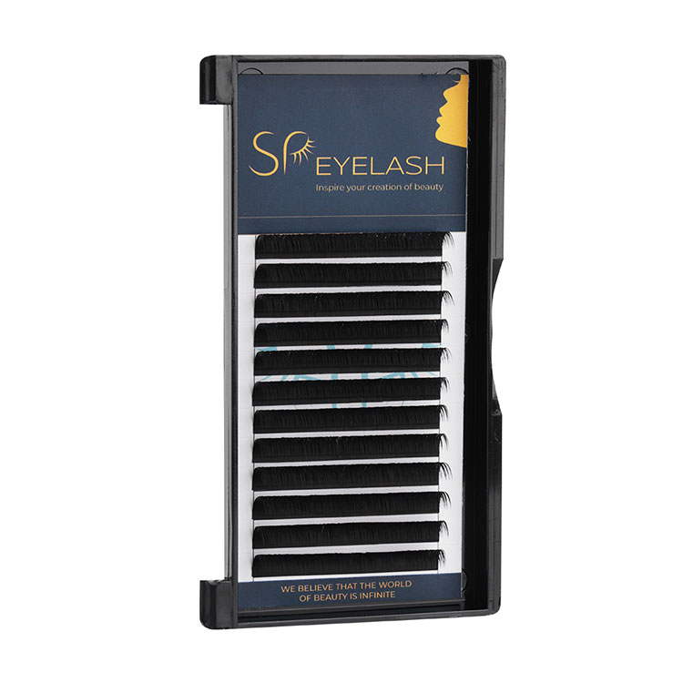 Singula creditis Lashes